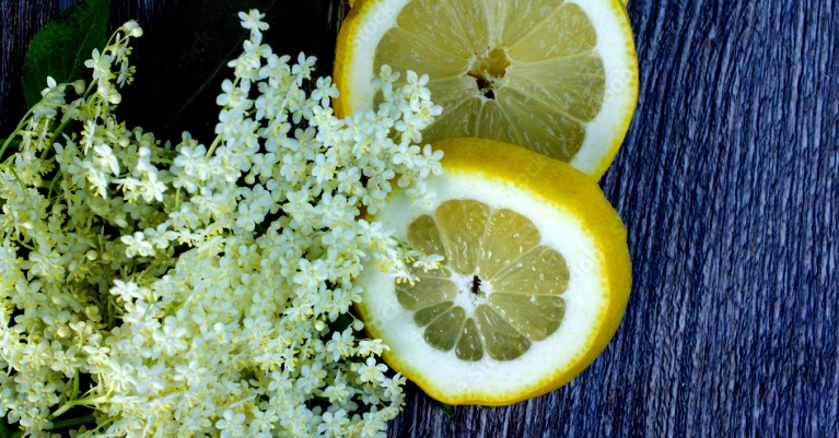 Bodza limonádé